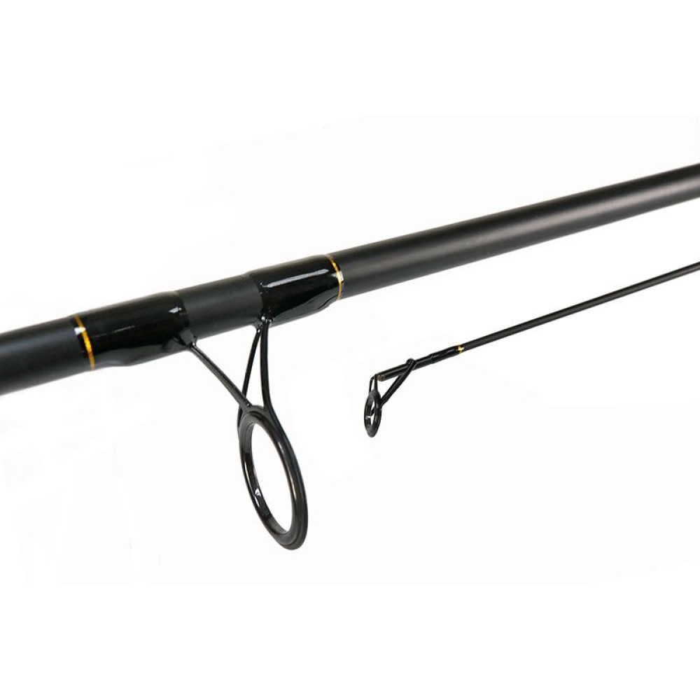 LANSETA THUNDER CARP 3.60M 3LBS - 2TRS 