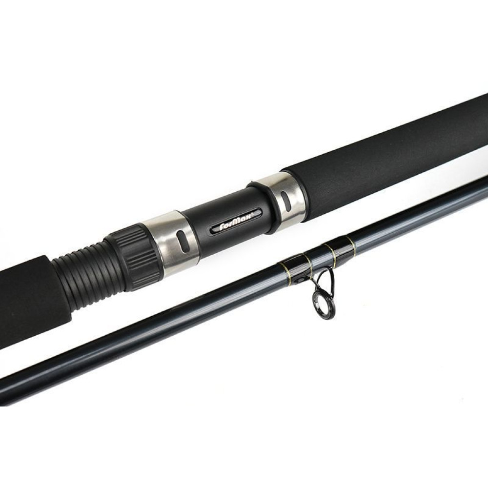 LANSETA TACTIC CAT 2.70M 100-300G 