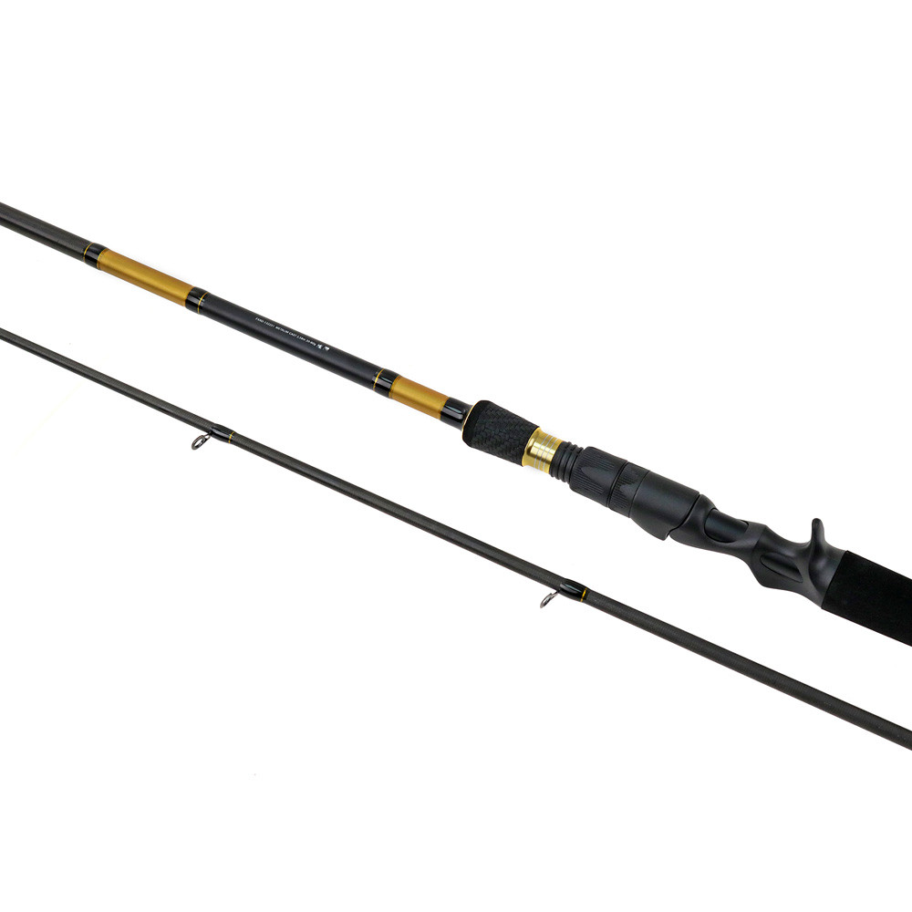 LANSETA METALIM CAST 2.58M 30-80G 