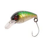 ATTACK LITTLE FISH 25 #67 