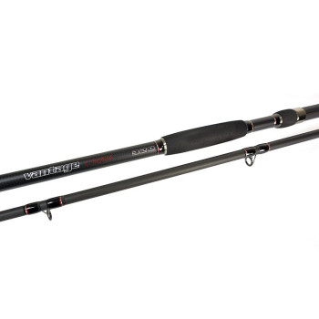 LANSETA VANTAGE CATFISH 3.00M 100-300G 