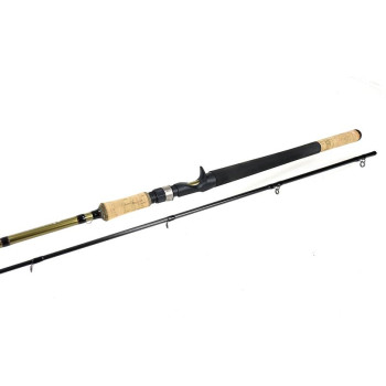 WALKER CAST 2.58m 30-80g 