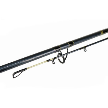 LANSETA TACTIC CAT 2.70M 60-150G 