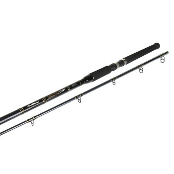 LANSETA TACTIC CAT 2.70M 100-300G 