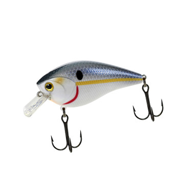 ATTACK SQUARE CRANK 70 #06 