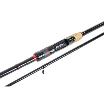 VISAGE SPIN 2.10m 5-30g 