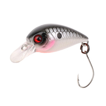 ATTACK LITTLE FISH 25 #64 