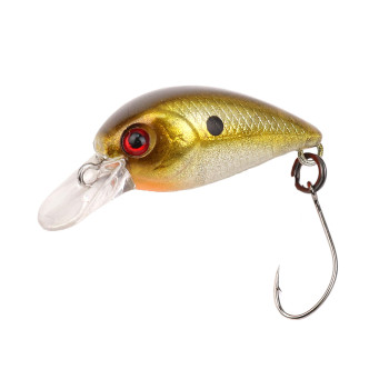 ATTACK LITTLE FISH 25 #66 