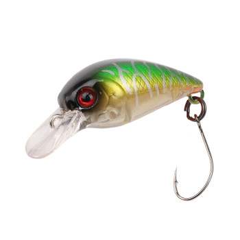 ATTACK LITTLE FISH 25 #67 