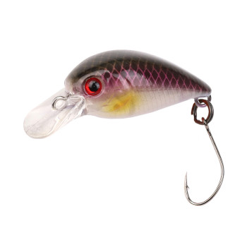 ATTACK LITTLE FISH 25 #68 