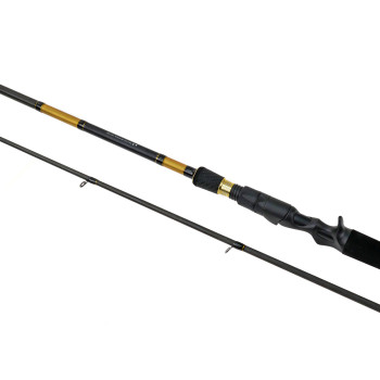 LANSETA METALIM CAST 2.58M 30-80G 