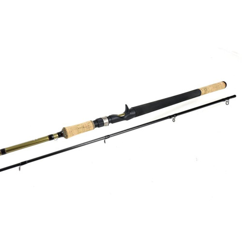 WALKER CAST 2.58m 30-80g 