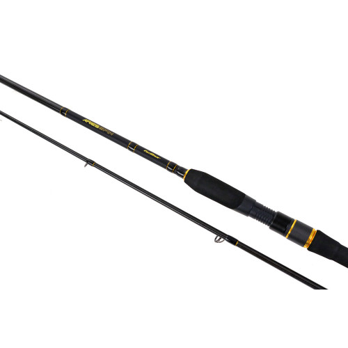 LANSETA ARIES SPIN 2.70M 40-80G 