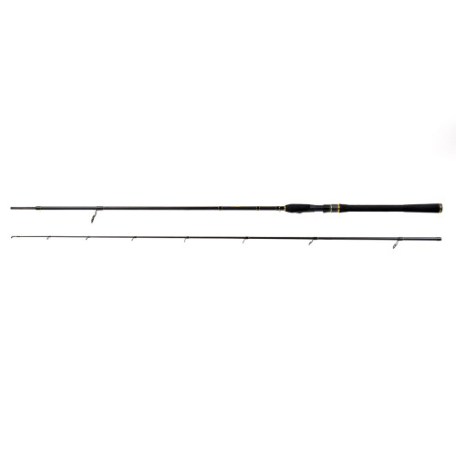 LANSETA ARIES SPIN 2.70M 40-80G 