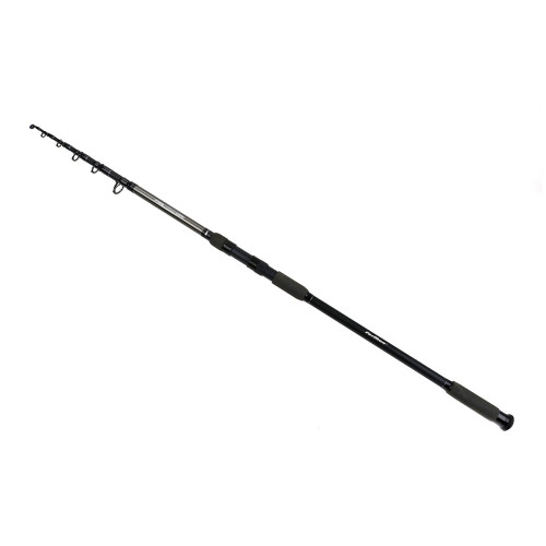 LANSETA ARIES SILVER CARP 3.60M 60-180G 