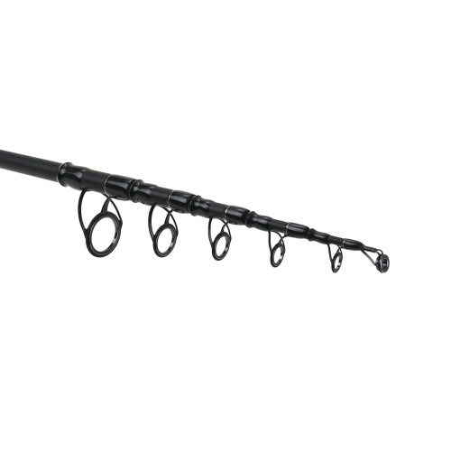 LANSETA ARIES SILVER CARP 3.60M 60-180G 